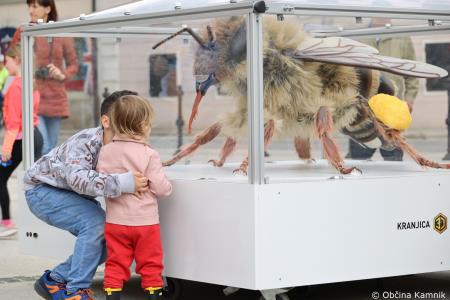 Čebela velikanka potuje po Kamniku (24)